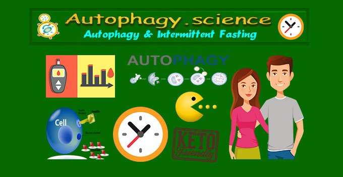 Autophagy Diet - Autophagy