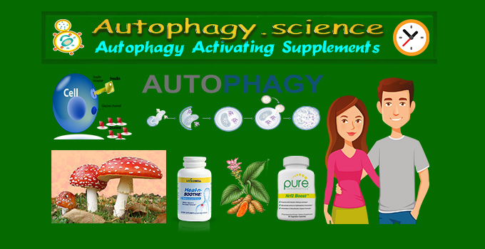 what is autophagy
